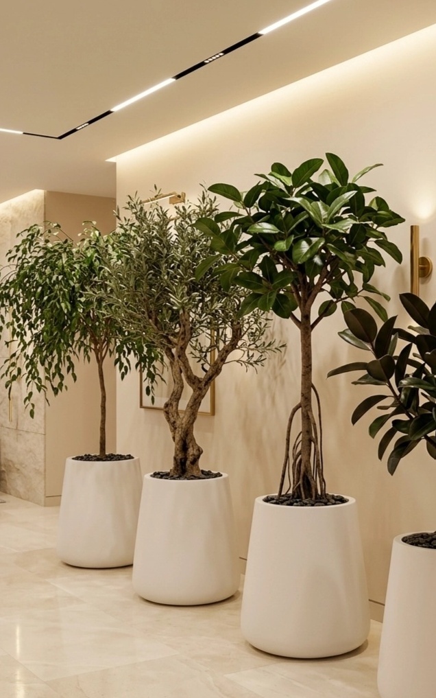 большие кашпо горшки для растений и деревьев для дома и улицы в современном стиле
